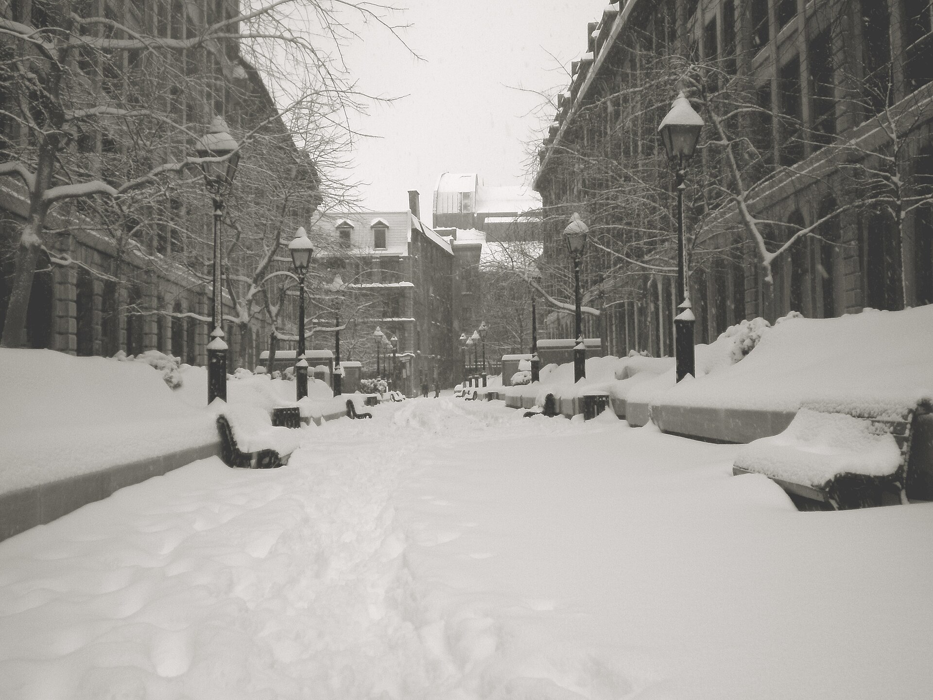 The Best Things to Do in Montreal Without Rushing