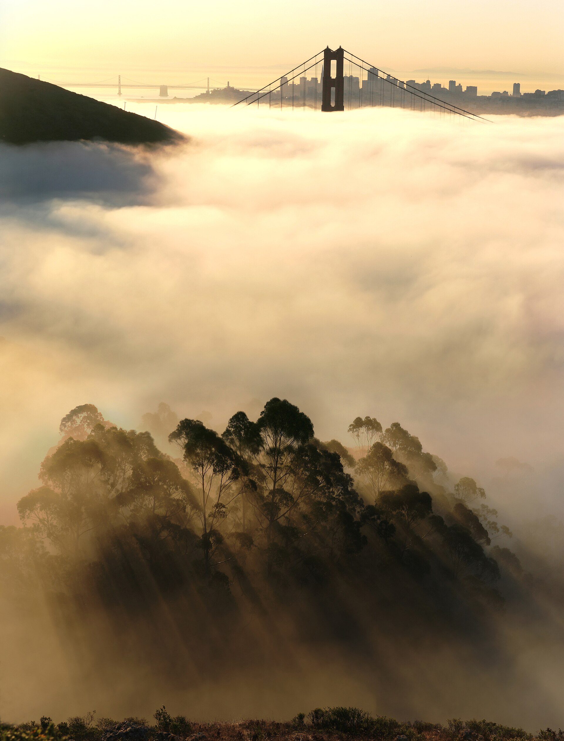 A Budget-Friendly Guide to San Francisco